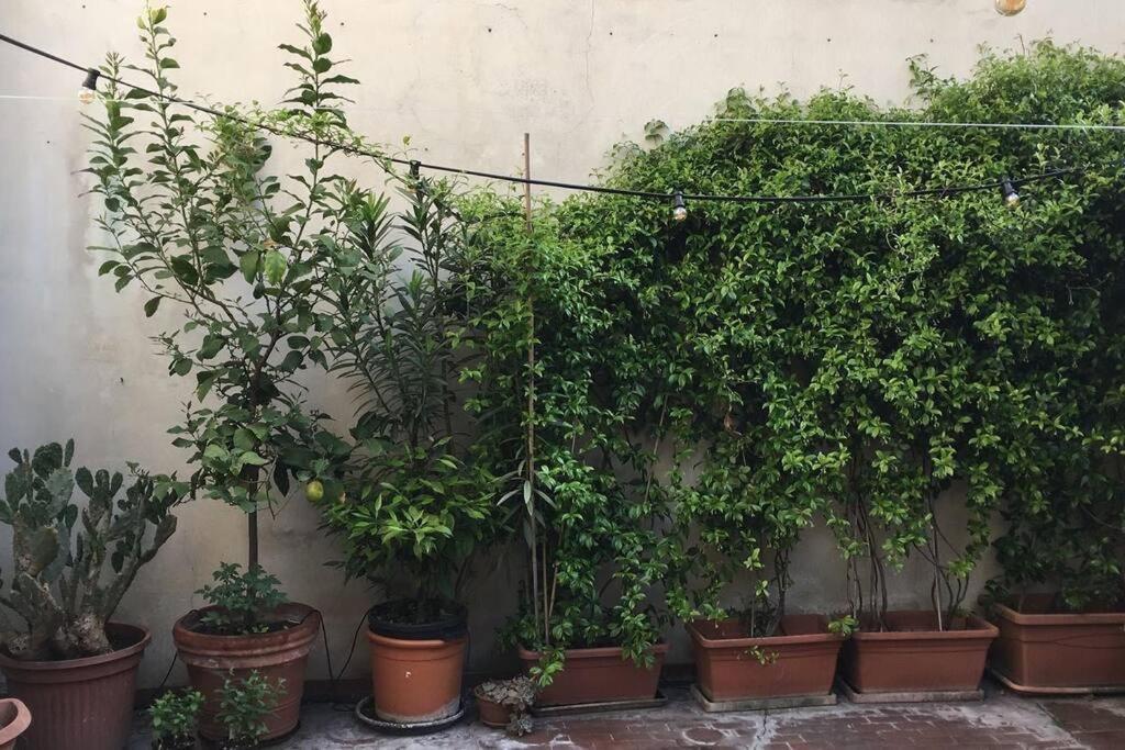 Sempione Yellow Milan Exterior photo